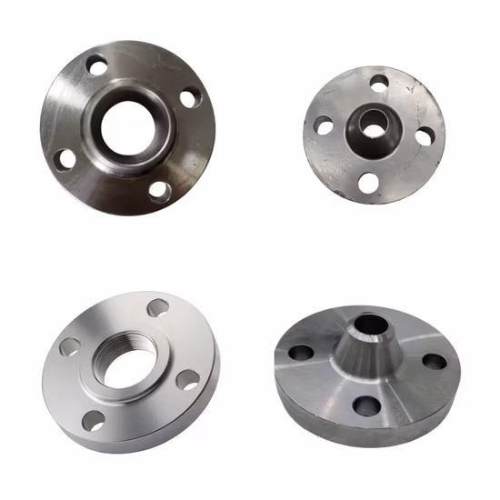 Forged Carbon Steel Stainless Steel Pipe Flanges