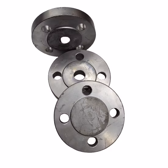 Forged Carbon Steel Stainless Steel Pipe Flanges