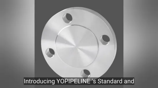 Forged Carbon Steel Stainless Steel Pipe Flanges