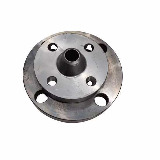 Forged Carbon Steel Stainless Steel Pipe Flanges