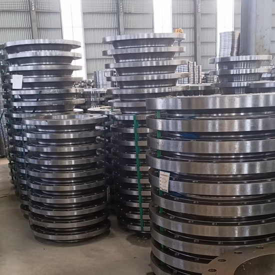 ANSI/DIN/GOST/En RF FF A105 304L 316L Weld Neck/Slip on/Blind Forged Steel Pipe Flange China Manufacturer